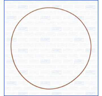 Tesniaci krúżok AJUSA 16040300