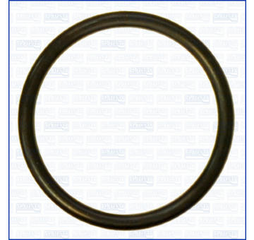 Tesniaci krúżok AJUSA 16101700