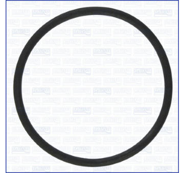 Těsnění, vakuové čerpadlo AJUSA 16113600