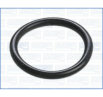 Tesnici krouzek, vstrikovani AJUSA 16521500