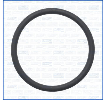 Těsnění, dmychadlo AJUSA 16559900