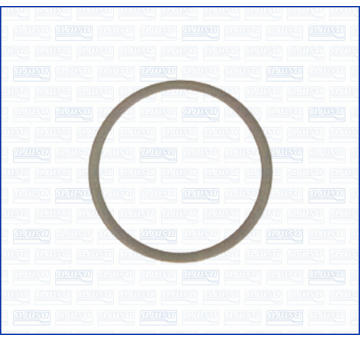 Podlożka pod maticu AJUSA 22009100