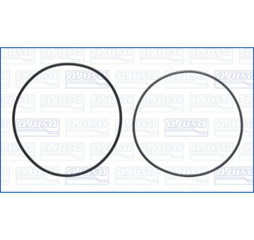 Sada těsnění válce, o-kroužky AJUSA 60011500