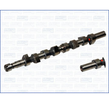 Vačkový hřídel AJUSA 93014700