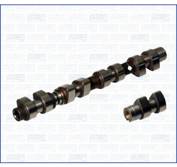 Vačkový hřídel AJUSA 93020000