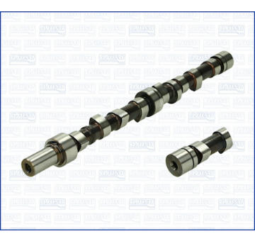 Vačkový hriadeľ AJUSA 93059600