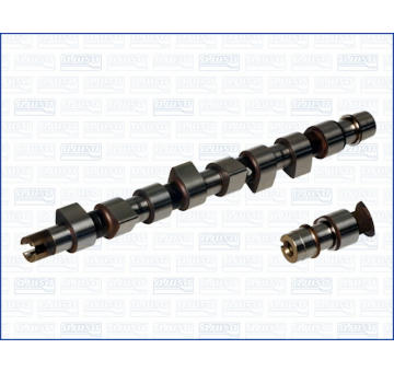 Vačkový hriadeľ AJUSA 93077700