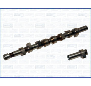 Vačkový hriadeľ AJUSA 93080900