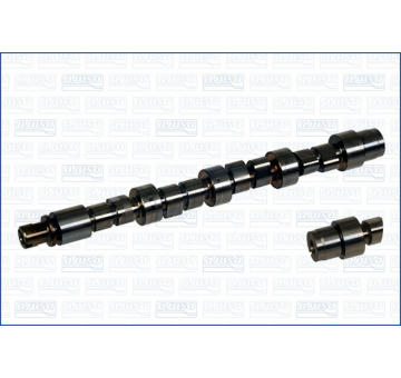 Vačkový hriadeľ AJUSA 93094800