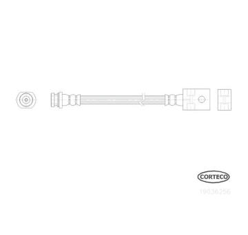 Brzdová hadica CORTECO 19036256