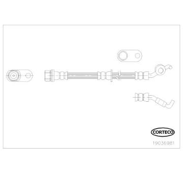 Brzdová hadica CORTECO 19036981