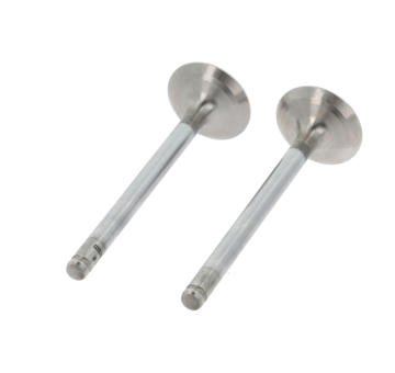 Výfukový ventil CORTECO 550983B