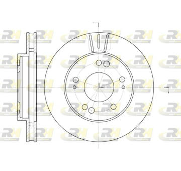 Brzdový kotouč ROADHOUSE 61220.10
