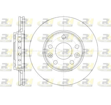 Brzdový kotouč ROADHOUSE 61346.10