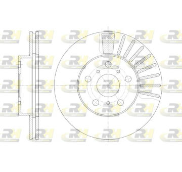 Brzdový kotouč ROADHOUSE 6170.10