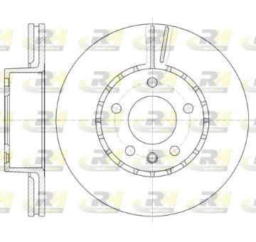 Brzdový kotouč ROADHOUSE 6300.10
