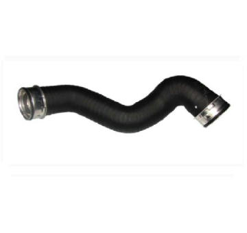 Hadička plnicího vzduchu BUGIAD 82675