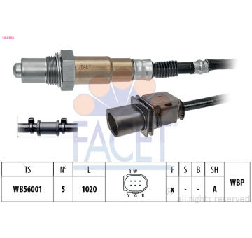 Lambda sonda FACET 10.8392