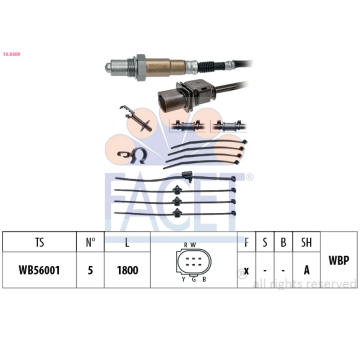 Lambda sonda FACET 10.8409