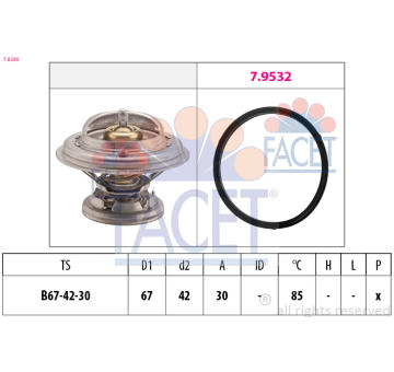 Termostat, chladivo FACET 7.8280