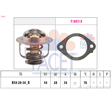 Termostat, chladivo FACET 7.8521