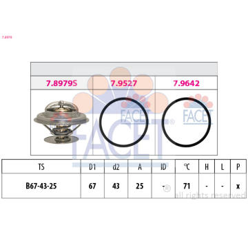 Termostat, chladivo FACET 7.8979