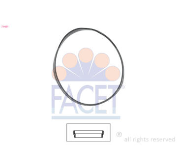 Těsnění, termostat FACET 7.9631