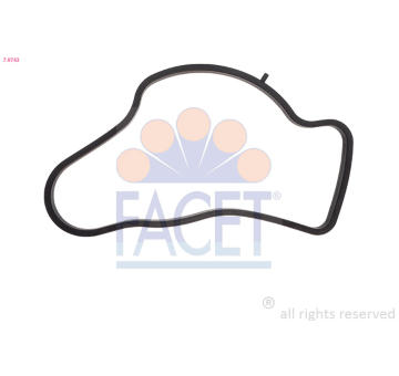 Těsnění, termostat FACET 7.9743