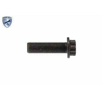 Sroub remenice VAICO V10-000080