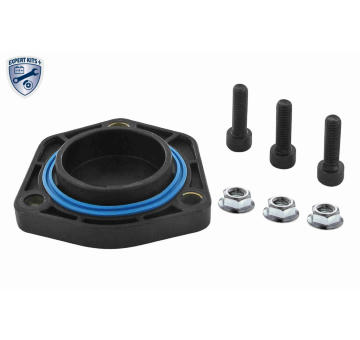 Tesnenie olejovej vane VAICO V10-9529