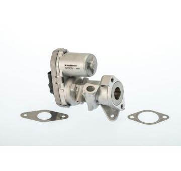 AGR-Ventil BTS Turbo A100011