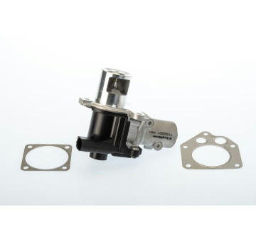 AGR-Ventil BTS Turbo A100019