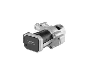 AGR-Ventil BTS Turbo A100039
