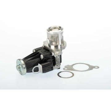 AGR-Ventil BTS Turbo A100051