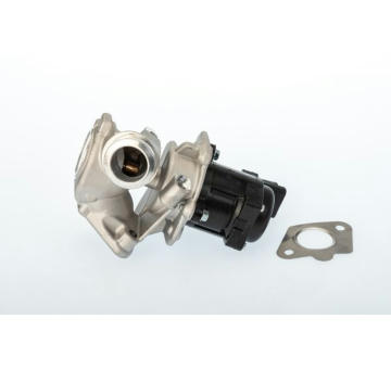 AGR-Ventil BTS Turbo A100055