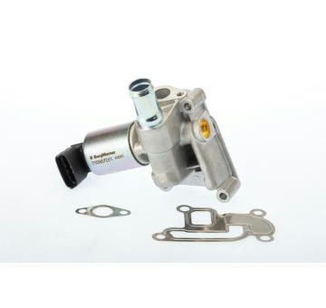 AGR-Ventil BTS Turbo A100108