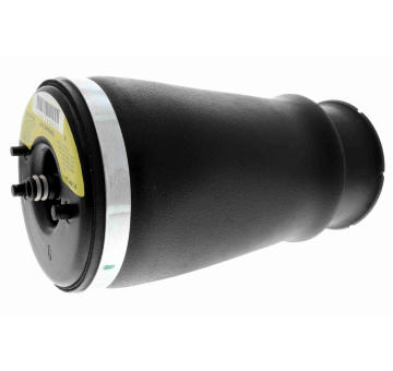 Vzduchova vzpera VEMO V20-50-0019-1