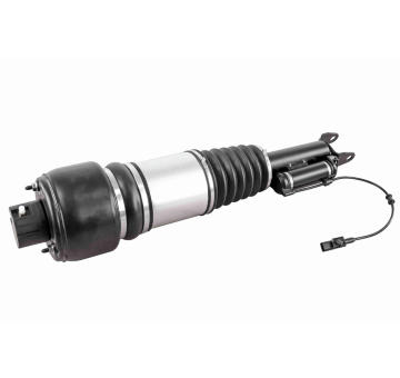 Vzduchova vzpera VEMO V30-50-0030