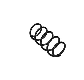 Prużina podvozku KAMOKA 2110486