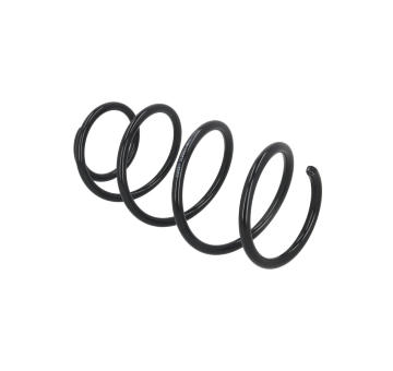 Prużina podvozku KAMOKA 2110517