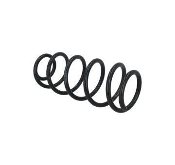 Prużina podvozku KAMOKA 2110698