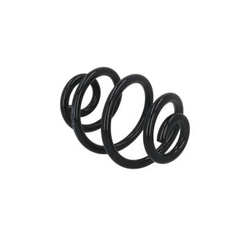 Prużina podvozku KAMOKA 2120358