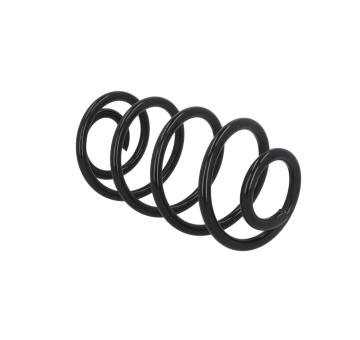 Prużina podvozku KAMOKA 2120378