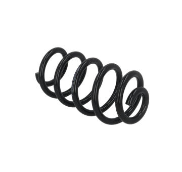 Prużina podvozku KAMOKA 2120595