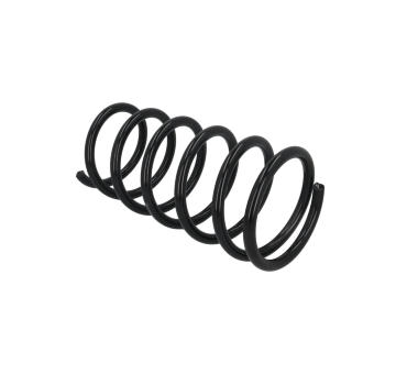 Prużina podvozku KAMOKA 2120597