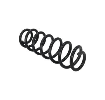 Prużina podvozku KAMOKA 2120681