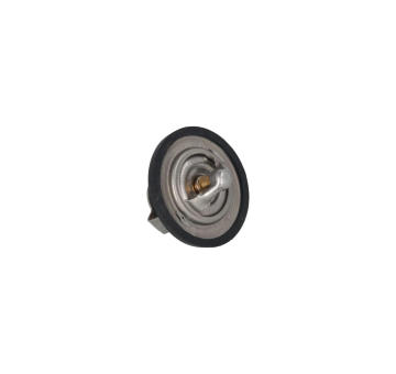 Termostat, chladivo KAMOKA 7710057