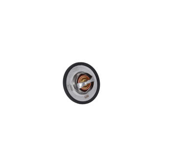 Termostat, chladivo KAMOKA 7710077