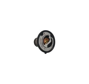 Termostat, chladivo KAMOKA 7710102
