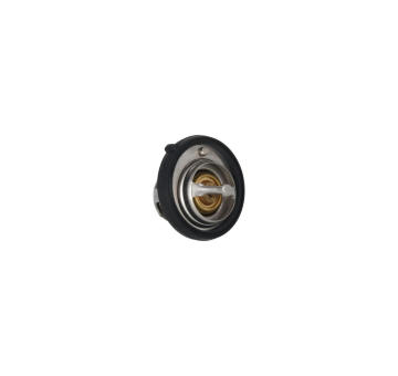 Termostat, chladivo KAMOKA 7710149